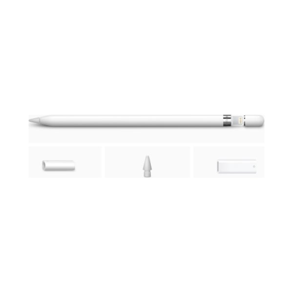 Apple-Pencil-1.-Generation-Set-inkl.-USB-C-auf-Apple-Pencil-Adapter-1-OneThing_Gr Apple-Pencil-1.-Generation-Set-inkl.-USB-C-auf-Apple-Pencil-Adapter-1-OneThing_Gr